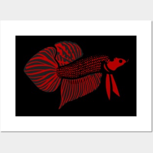 Red Wild Betta Posters and Art